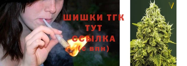 прущие грибы Армянск