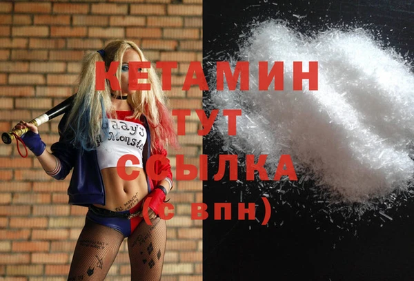 твердый Арсеньев