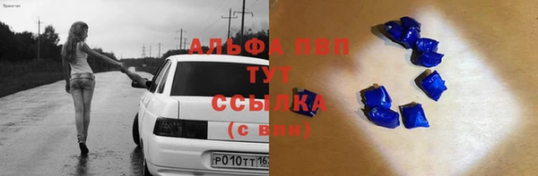 прущие грибы Армянск
