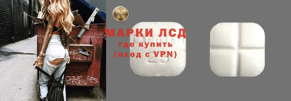 твердый Арсеньев