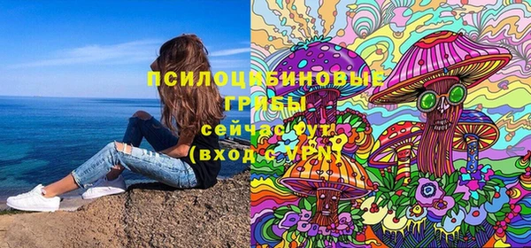твердый Арсеньев