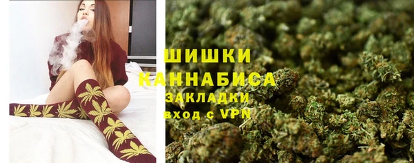 прущие грибы Армянск